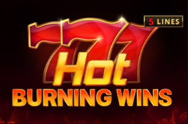 hot burning wins logo